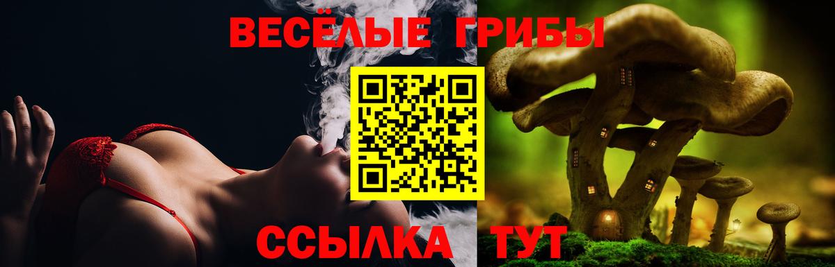 Псилоцибиновые грибы Cubensis  Вход с VPN  Галлюциногенные грибы мицелий  Выборг 